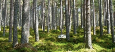 超聲波清洗機可以清洗水垢嗎？